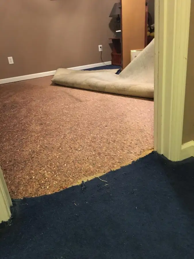 Carpet pad removal revealing water damage during Drying & Dehumidification in Clifton Heights