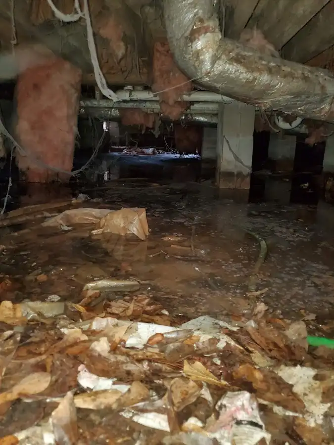 Crawl space flood assessment for Commercial Water Damage Restoration in Clifton Heights
